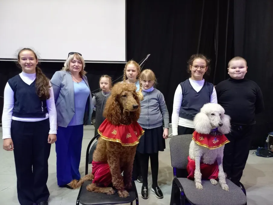 Цирк! Цирк! Цирк!