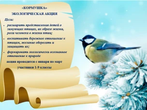 Экологическая акция "Кормушка"