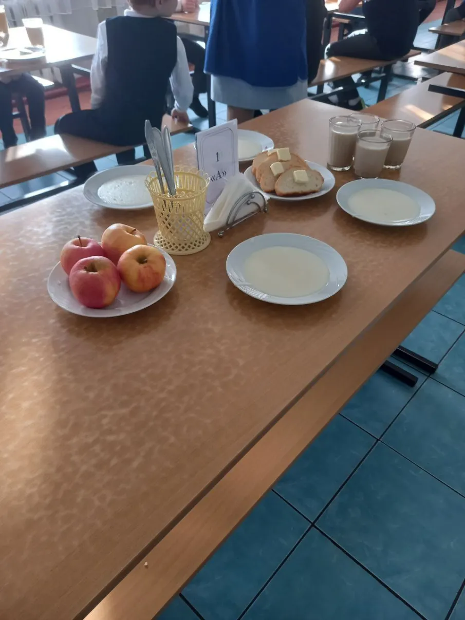 Комиссия по родительскому контролю за организацией питания обучающихся проводившая проверку: в ГКОУ «Кулебакская специальная коррекционная школа»