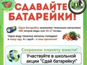 Школьная акция «Сдай батарейку»