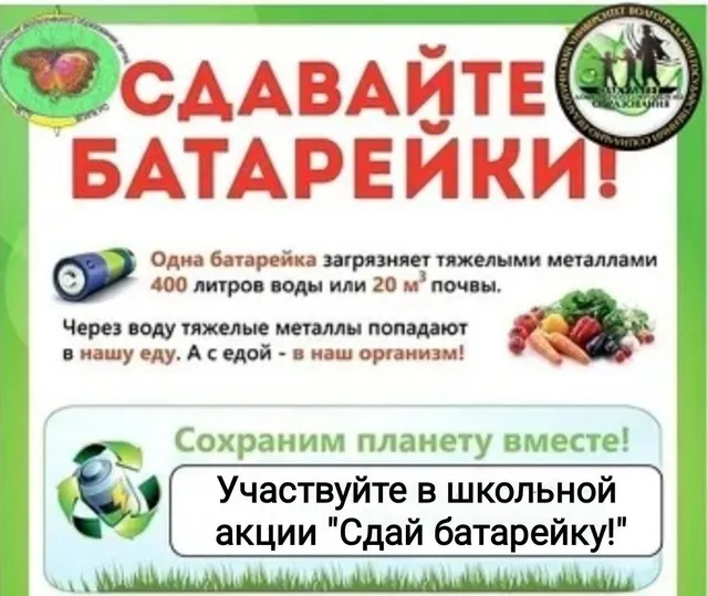 Школьная акция «Сдай батарейку»