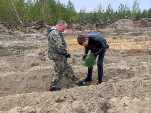В Кулебакском лесничестве прошла акция «Сохраним лес»