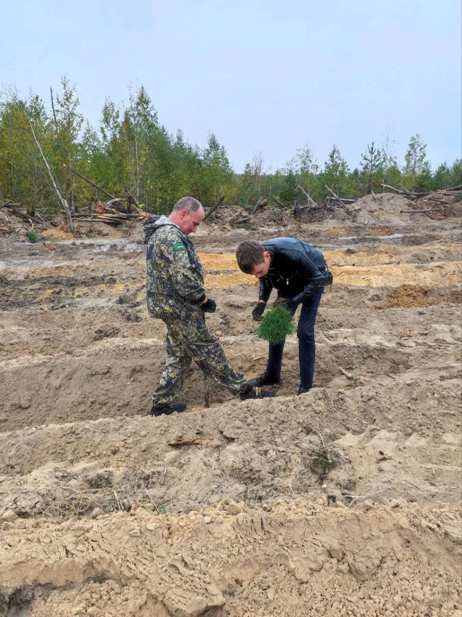 В Кулебакском лесничестве прошла акция «Сохраним лес»