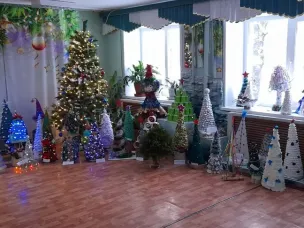 «Новогодняя красавица»